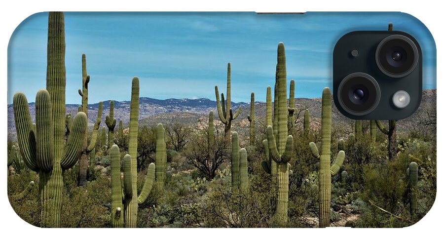 Arizona iPhone Case featuring the photograph Desert Kings by David S Reynolds