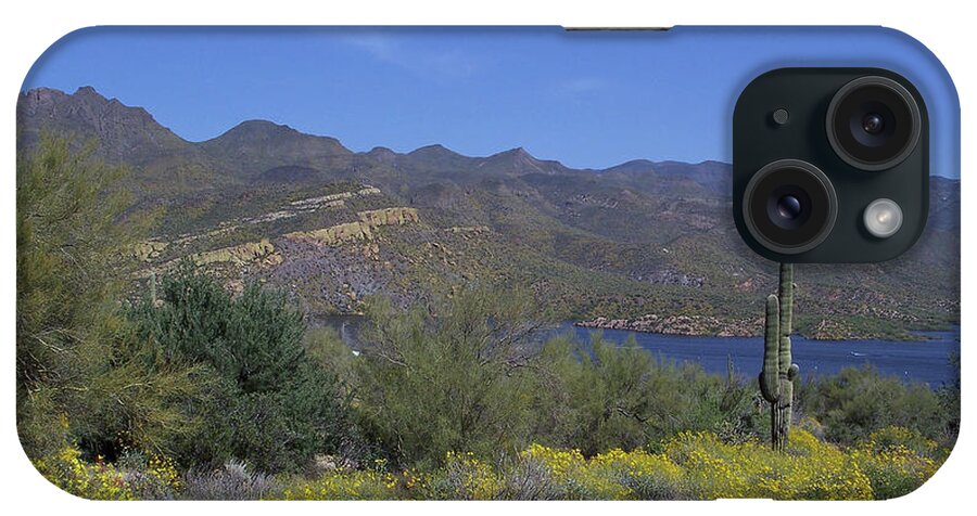 Mountains iPhone Case featuring the photograph Desert Oasis by Kelly Holm