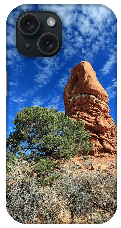 Landscape iPhone Case featuring the photograph Desert Pillar and Tree by Mary Haber