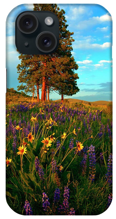 Meadow iPhone Case featuring the photograph Desert Pines Meadow by Michael Dawson