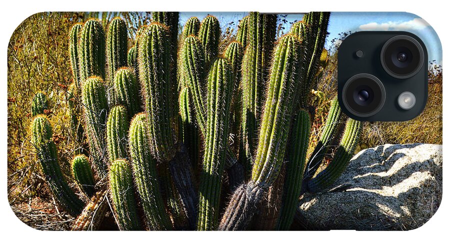 Glenn Mccarthy iPhone Case featuring the photograph Desert Plants - The Wild Bunch by Glenn McCarthy Art and Photography