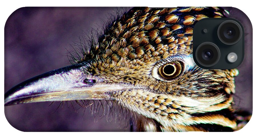 Bird iPhone Case featuring the photograph Desert Predator by Adam Morsa
