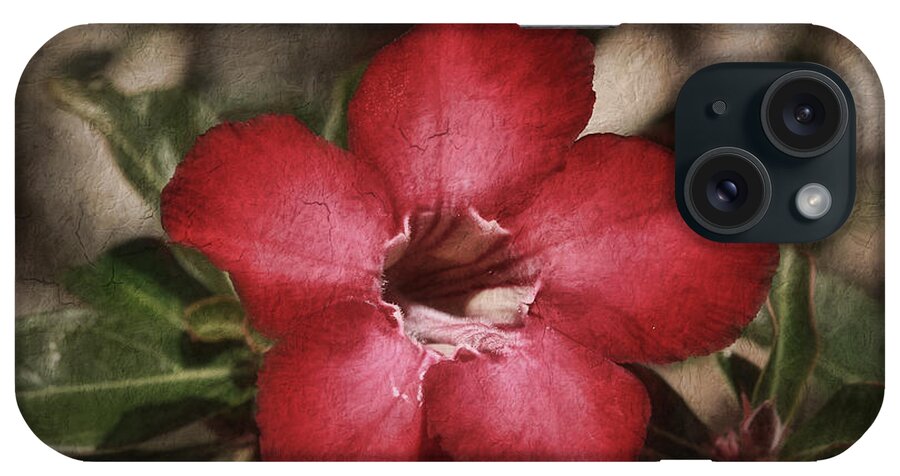 Flower iPhone Case featuring the painting Desert Rose in Daytona by Deborah Benoit