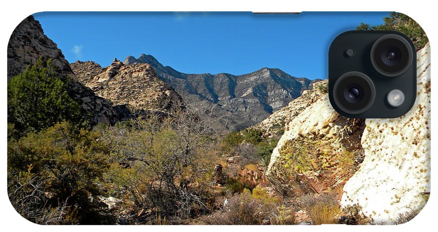 Frank Wilson iPhone Case featuring the photograph Desert Wilderness by Frank Wilson