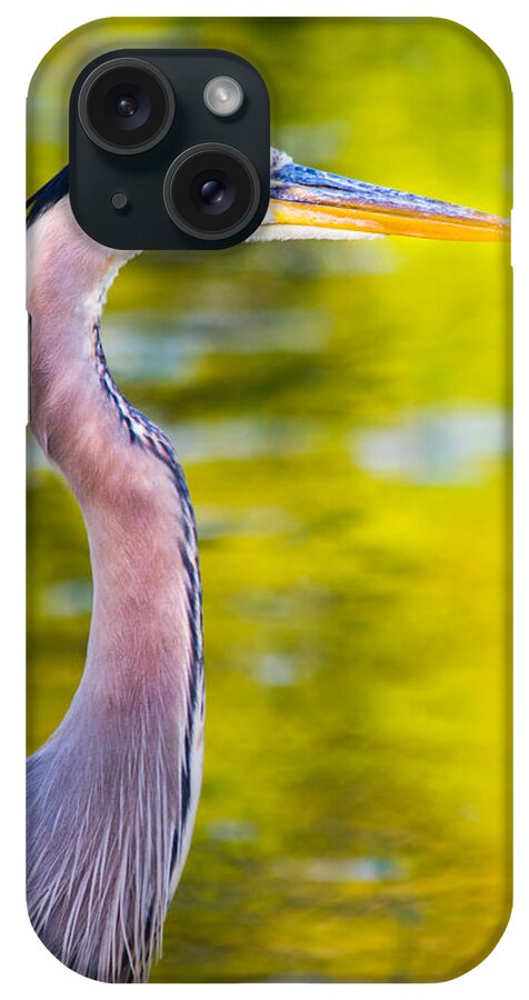Autumn iPhone Case featuring the photograph Details of a Great Blue Heron by Parker Cunningham