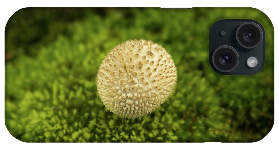 Basideomycete iPhone Case featuring the photograph Developing Mushroom on a Bed of Moss by Douglas Barnett