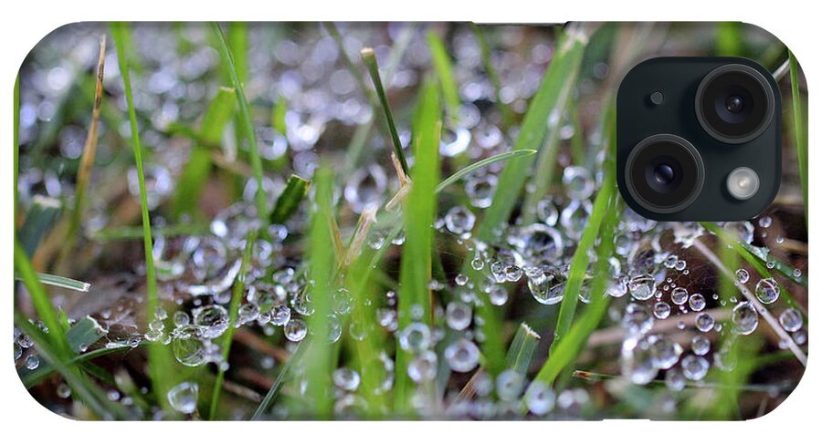 Dew iPhone Case featuring the photograph Dew Drops in Grass #3 by Karen Adams