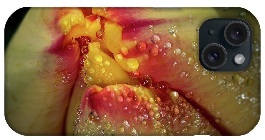 Jay Stockhaus iPhone Case featuring the photograph Dew Drops on the Tulip by Jay Stockhaus