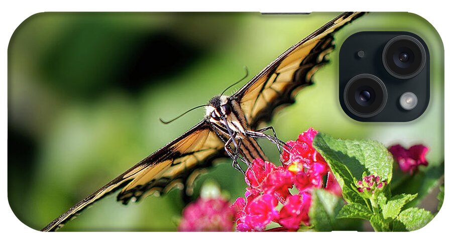 Butterfly iPhone Case featuring the photograph Diagonal by Anna Rumiantseva