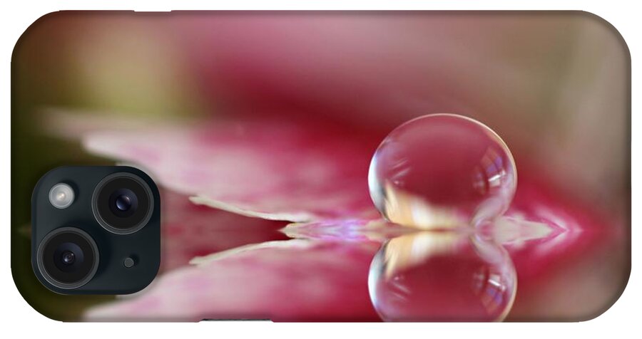 Dianthus iPhone Case featuring the photograph Dianthus Dreaming by Kym Clarke