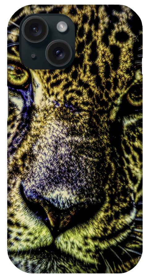 Big Cats iPhone Case featuring the photograph Bebu by Ken Frischkorn