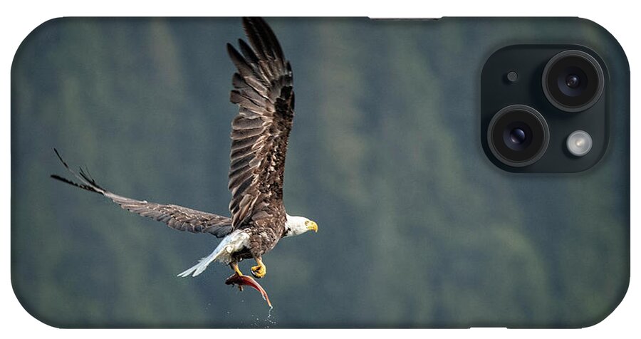 Bald Eagle iPhone Case featuring the photograph Dinner is on its way by Jeanette Mahoney