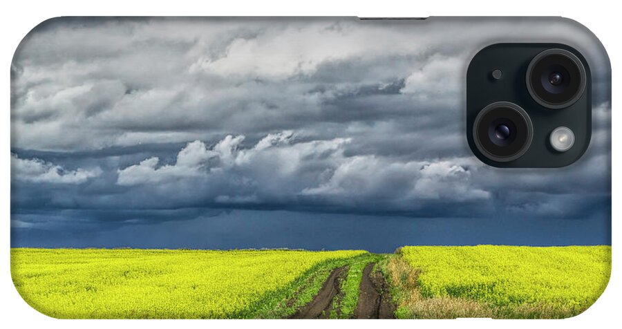 Art iPhone Case featuring the photograph Dirt Road through a Canola Seed Field in Southern Alberta Canada by Randall Nyhof