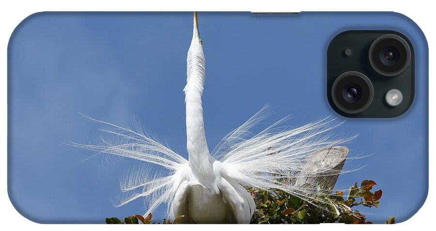 Great Egret iPhone Case featuring the photograph Displaying 2 by Fraida Gutovich