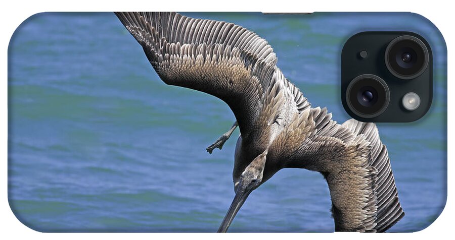 Pelican iPhone Case featuring the photograph Dive Mode by Deborah Benoit