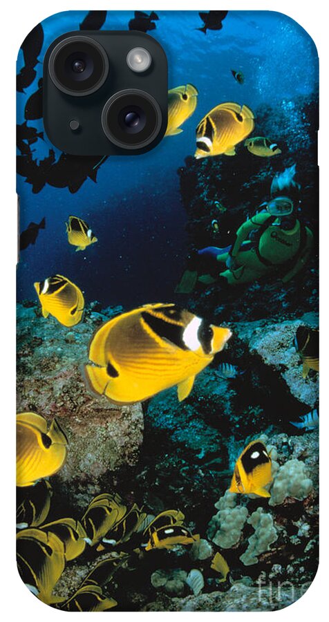 Animal Art iPhone Case featuring the photograph Diver And Butterflyfish by Dave Fleetham - Printscapes