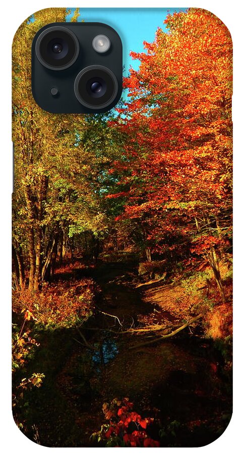 Maine Landscape iPhone Case featuring the photograph Dixfield Roadside 13 by George Ramos