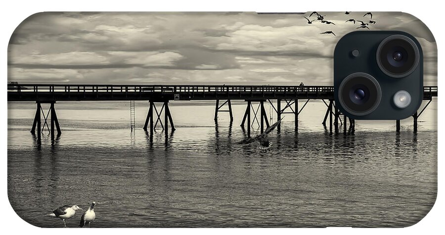 Dock iPhone Case featuring the photograph Dock on the Sea by Barry Weiss