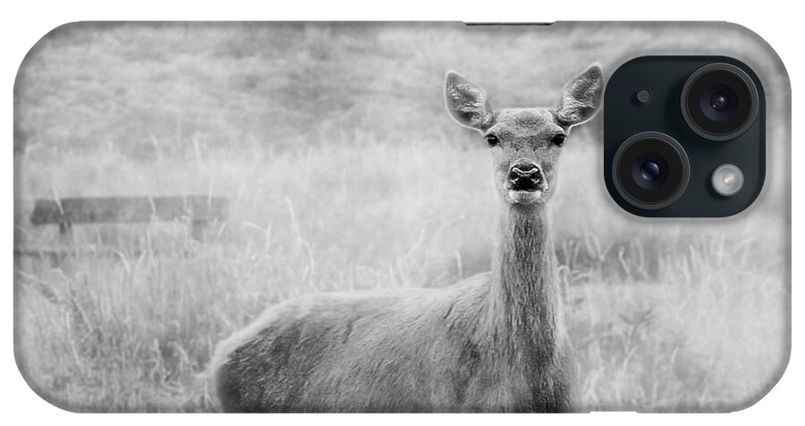 Doe iPhone Case featuring the photograph Doe A Deer A Female Deer In Mono by Linsey Williams