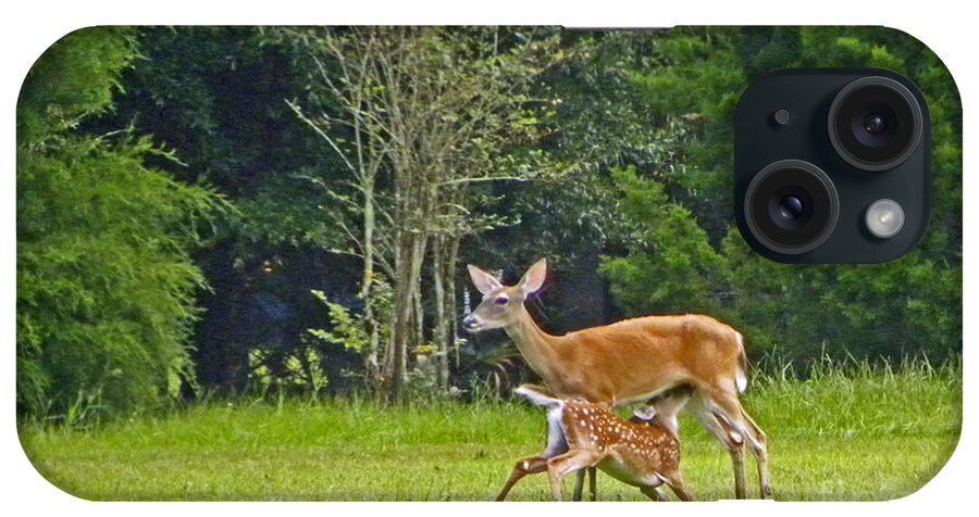 Deer iPhone Case featuring the photograph Doe Nursing Fawn by Terri Mills