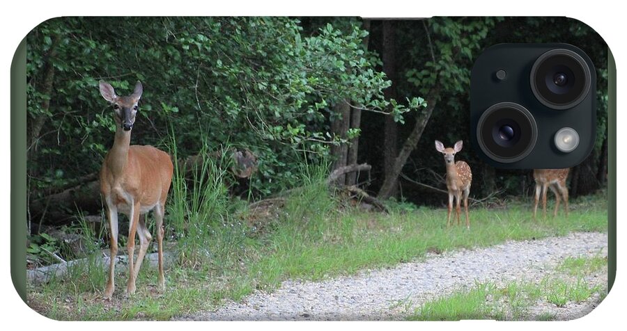 Deer Doe Twin Fawn iPhone Case featuring the photograph Doe With Twins by Jerry Battle