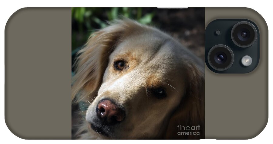Frankjcasella iPhone Case featuring the photograph Dog Eyes by Frank J Casella