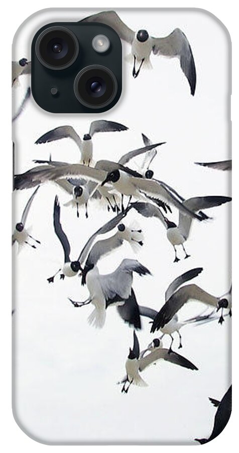 Seascape iPhone Case featuring the photograph Dog Fight by Adam Johnson