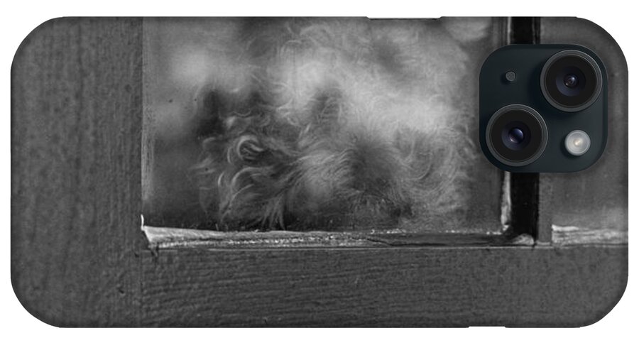 Animals iPhone 15 Case featuring the photograph Doggy in the window by Paul Ross