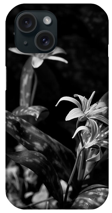 Dogtooth Violet iPhone Case featuring the photograph Dogtooth Violet in Black and White by Michael Dougherty