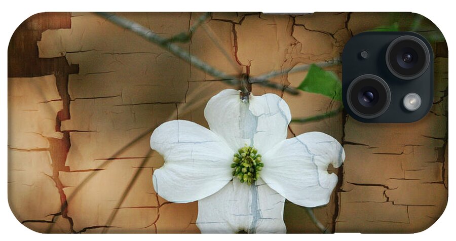 Dogwood iPhone Case featuring the photograph Dogwood Bloom by Cathy Harper