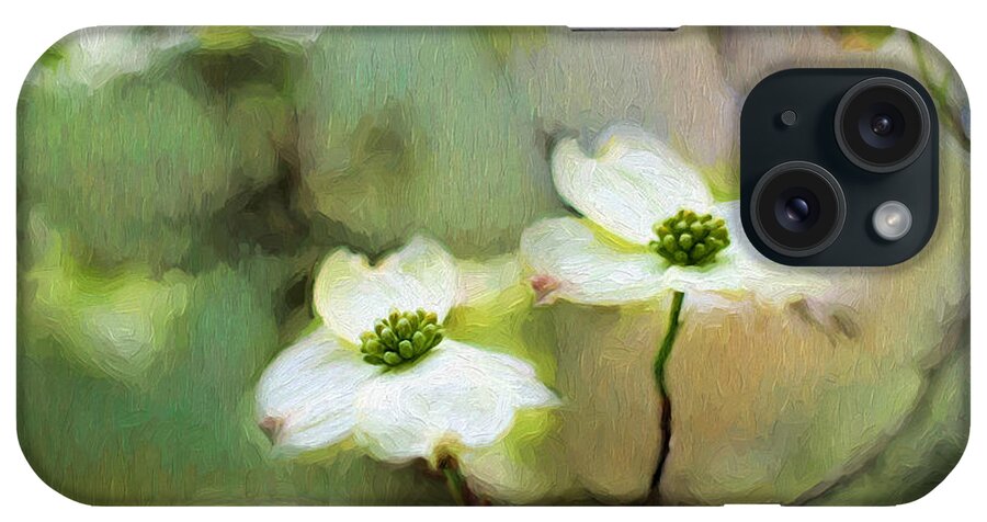 White Dogwood Blooms iPhone Case featuring the photograph Dogwood Blooms by Darren Fisher