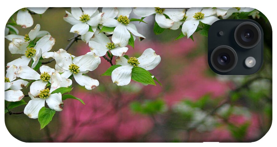 Dogwood iPhone Case featuring the photograph Dogwood Days by Living Color Photography Lorraine Lynch
