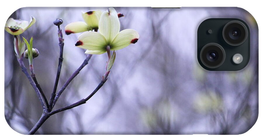 Tree iPhone Case featuring the photograph Dogwood by Tammy Schneider