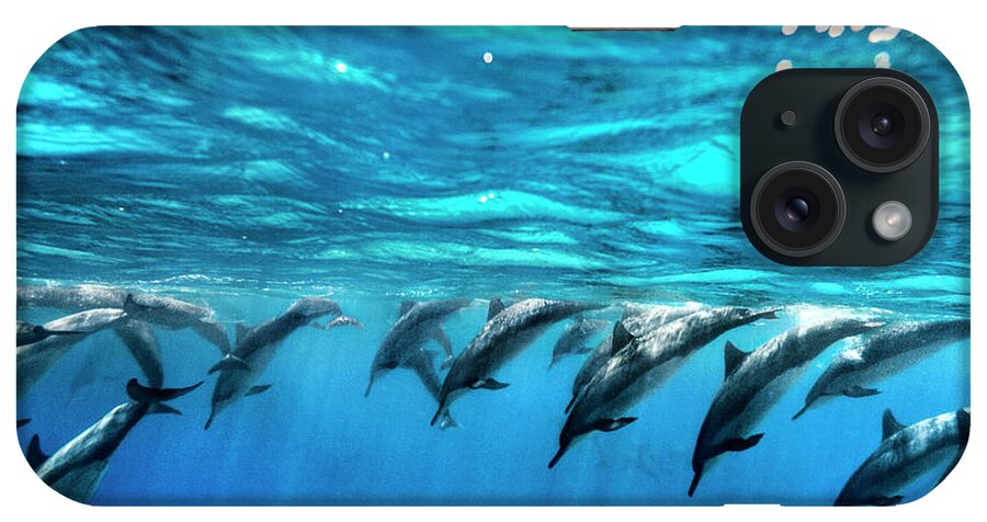 Sea iPhone Case featuring the photograph Dolphin Dive by Sean Davey