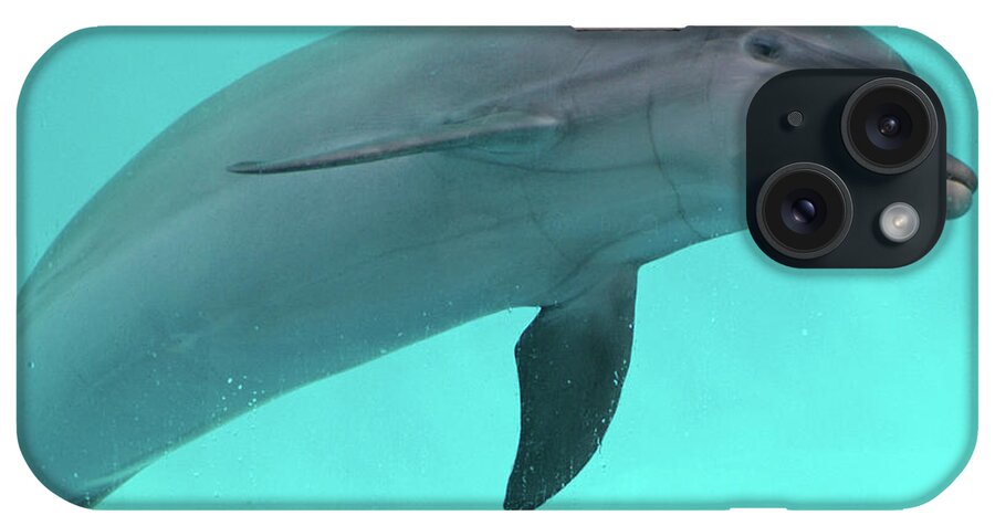 Dolphin iPhone Case featuring the photograph Dolphin by Sandy Keeton