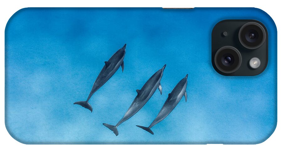 Sea iPhone Case featuring the photograph Dolphin Trio by Sean Davey