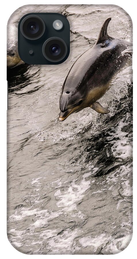 Dolphin iPhone Case featuring the photograph Dolphins by Werner Padarin