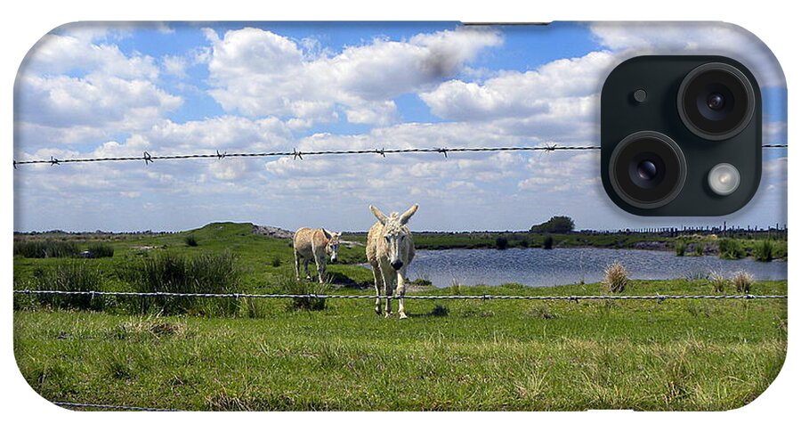 Horse iPhone Case featuring the photograph Don't Fence Me In by Christopher Mercer