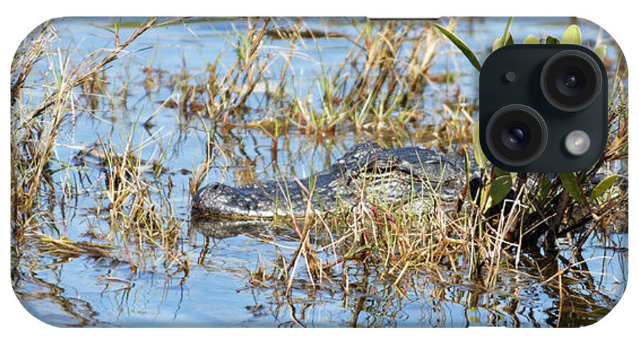 Darin Volpe Animals iPhone Case featuring the photograph Don't Think I Don't See You There - American Alligator at Merritt Island National Wildlife Refuge by Darin Volpe