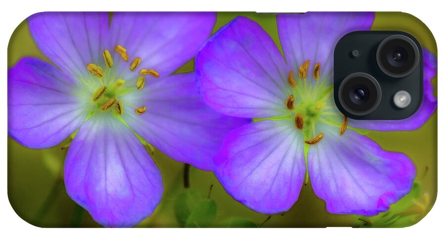 Flower iPhone Case featuring the photograph Double Beauty by Rod Best