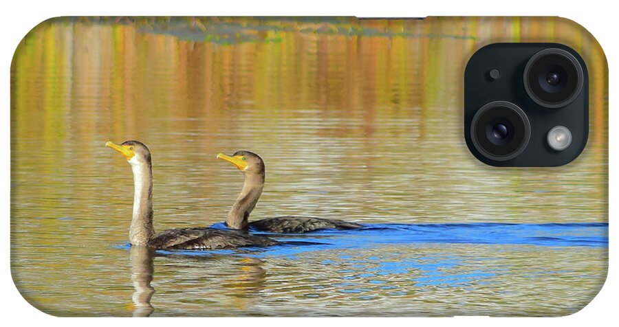 Cormorant iPhone Case featuring the photograph Double-crested Cormorant - 1 by Alan C Wade