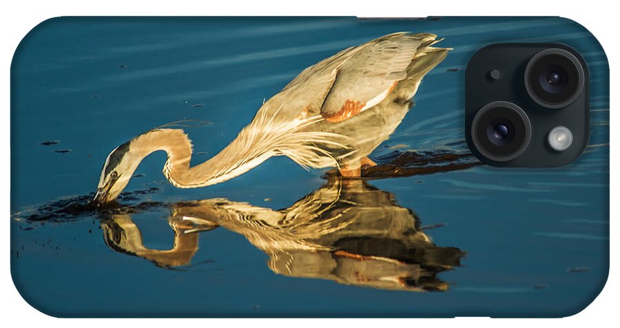 Central California Coast iPhone Case featuring the photograph Double Dipper by Bill Roberts