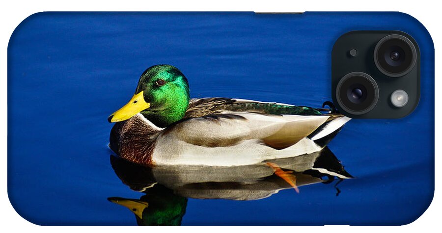 Reflection iPhone Case featuring the photograph Double Duck by Rockybranch Dreams