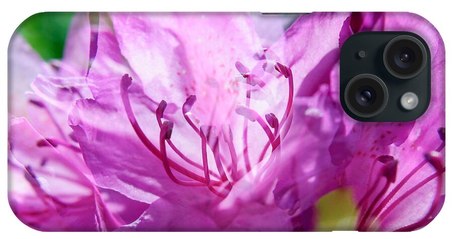 Abstract iPhone Case featuring the photograph Double Magenta Rhododendron by Marcus Karlsson Sall