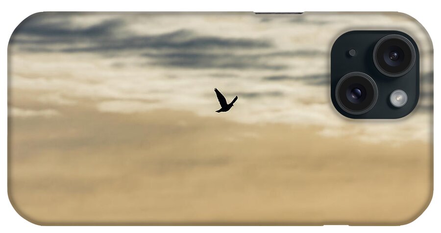 Dove iPhone Case featuring the photograph Dove in the Clouds by Douglas Killourie