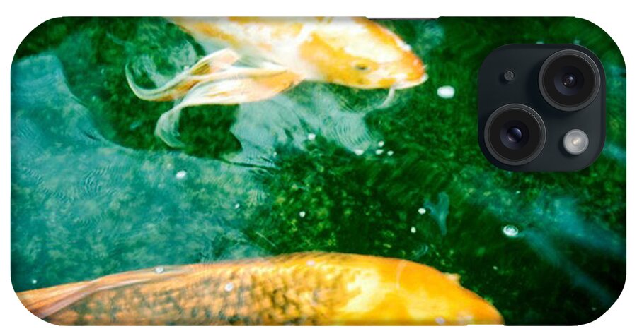Koi iPhone Case featuring the photograph Downstream 1 by Brian Kirchner