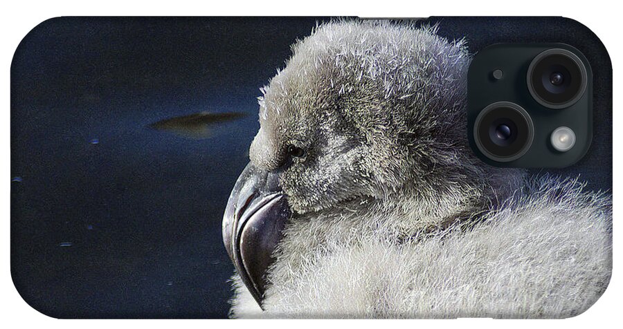 Memphis iPhone Case featuring the photograph Downy - Baby Flamingo by DArcy Evans