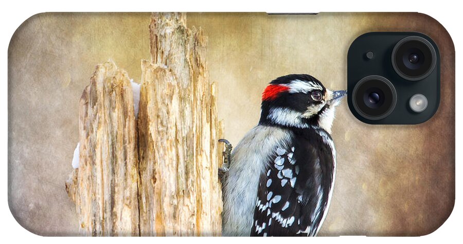 Small Woodpecker iPhone Case featuring the photograph Downy At Dusk by Bill and Linda Tiepelman