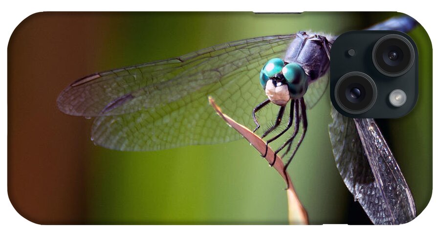 Dragonfly iPhone Case featuring the photograph Dragonfly 0367 by Tam Ryan