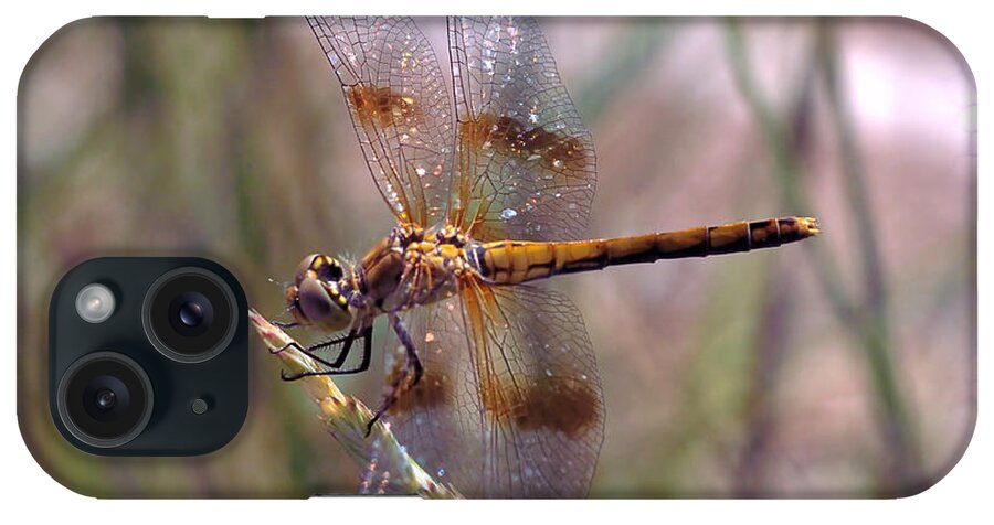 Dragonfly iPhone Case featuring the photograph Dragonfly 2 by Kae Cheatham